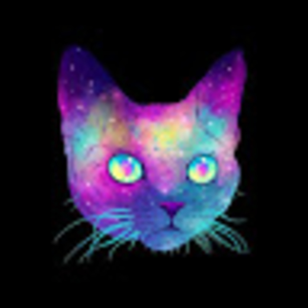 Meet your Posher, Diamond cat